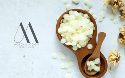 Een diepgaande blik op de ingrediënten van Morgan Moon